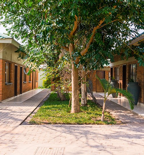 Pod mahogany trees at the Premier guest lodge in Victoria Falls